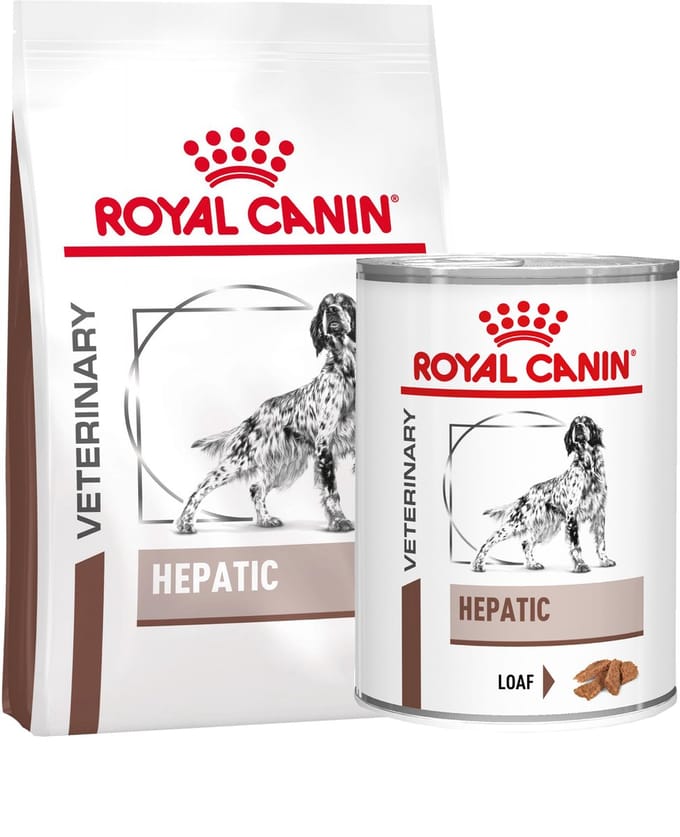 Royal Canin Hepatic Hond - 7 kg + 12 x 420 g