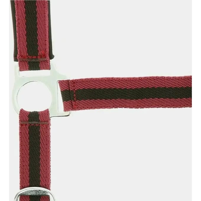 Halter Norton Doublé néoprène