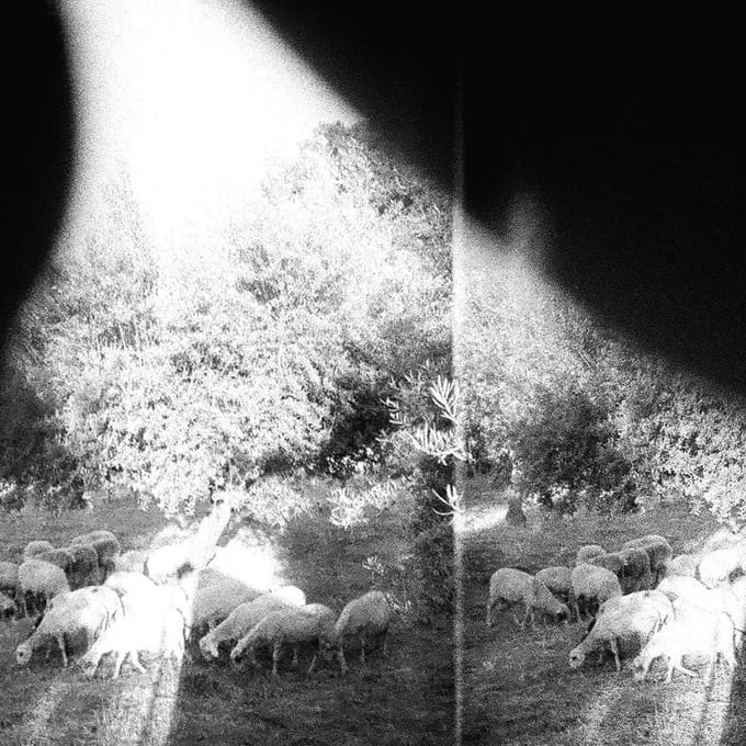 Godspeed You Black Emperor! - Asunder, Sweet And Other Distress (CD)
