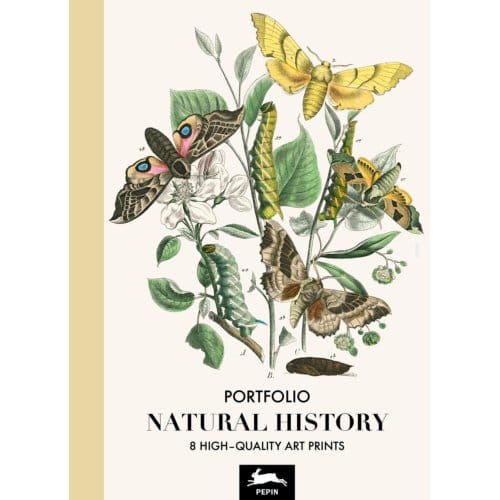 Natural History - Pepin van Roojen