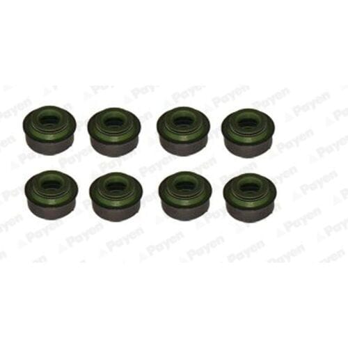 Pakkingset, klepsteel PAYEN HR655