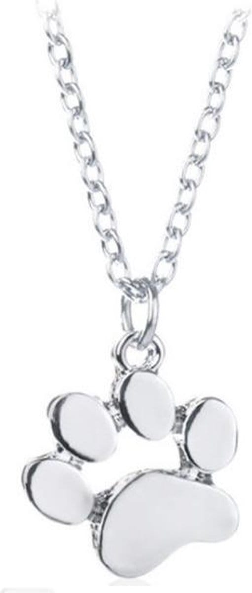 Korte ketting - kleur zilver - pootafdruk hond - 45 cm + 7 cm verstelbaar