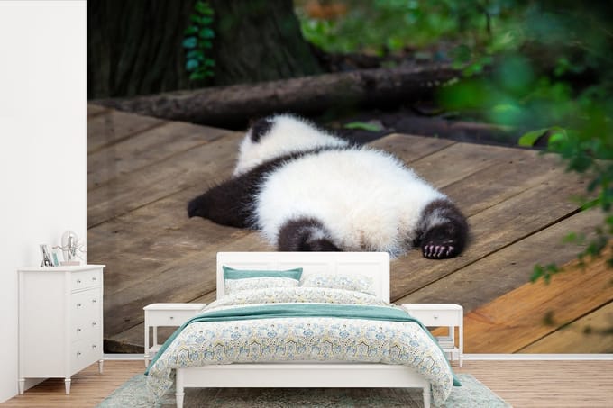 Behang - Fotobehang Panda - Dier - Brug - Breedte 600 cm x hoogte 400 cm