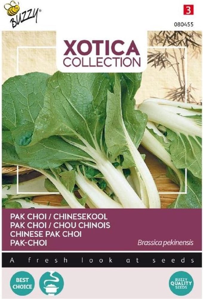 Xotica Paksoi Kanton