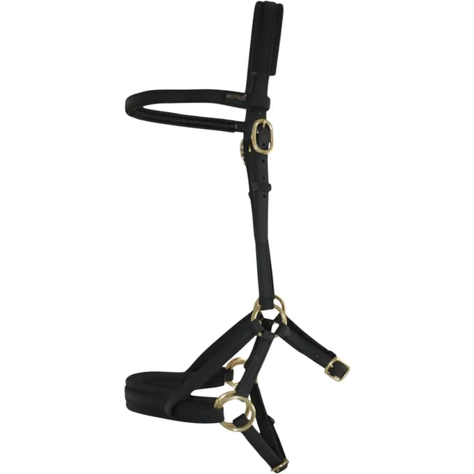 Hoofdstellen T de T Sidepull Biotack®