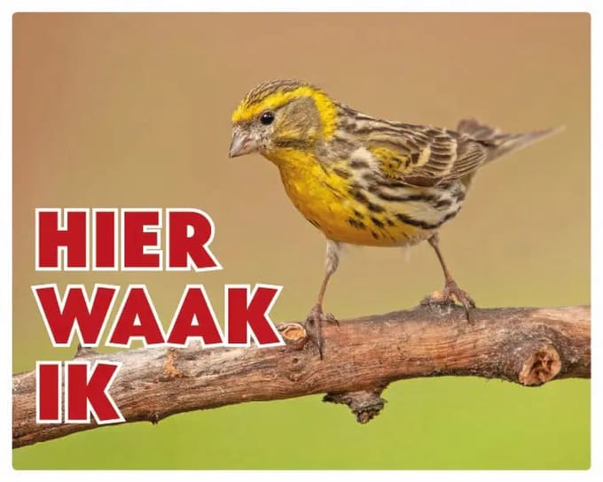 Europese Kanarie Waakbord - Hier Waak Ik