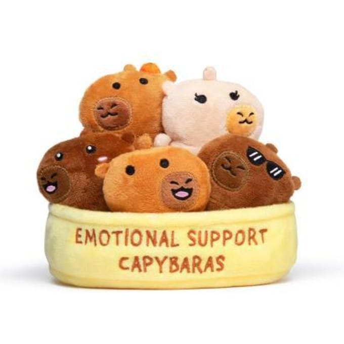 Emotional Support Capybaras knuffels - Kawaii Pluche set
