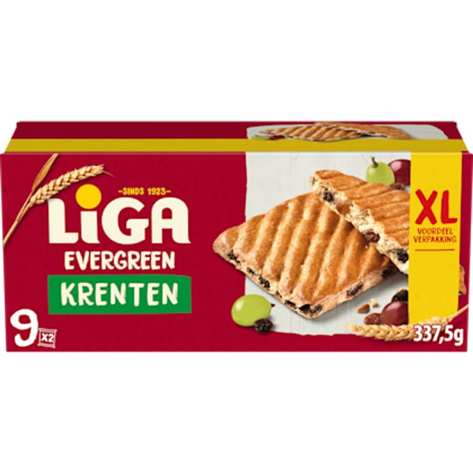 Evergreen koekjes krenten XL