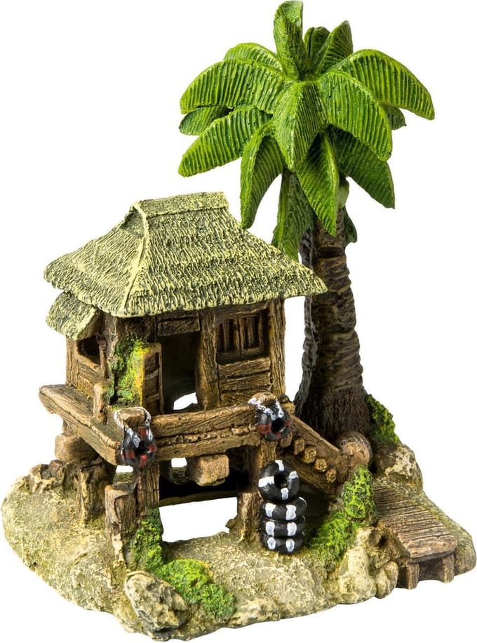 Aqua D'ella Tropical Island House
