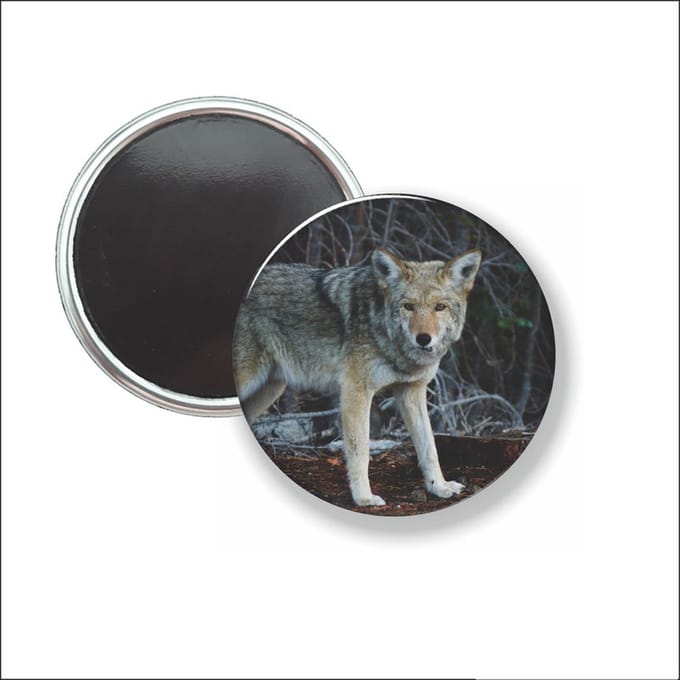 Button Met Magneet - Wolf - NIET VOOR KLEDING