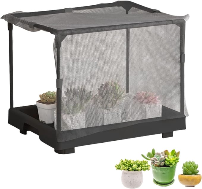 Mini Kas - Planten Beschermer - Stadslandbouw - Compact Ontwerp - 35x27x7 cm - Groen