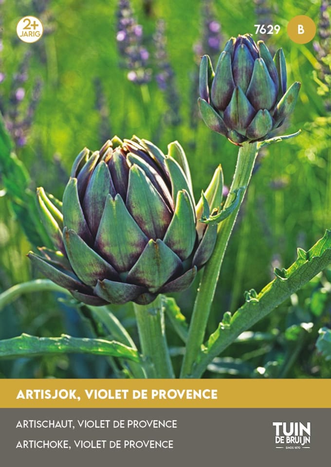 Tuin de Bruijn® zaden Artisjok Violet de Provence