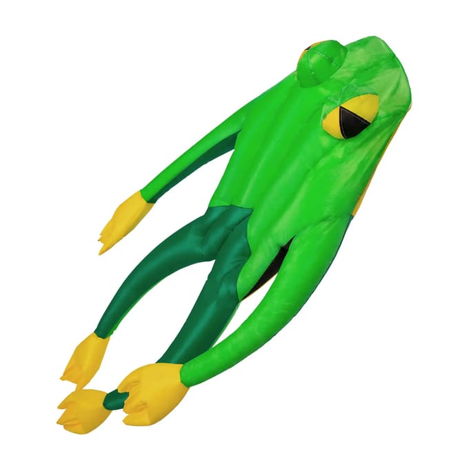 Vlieger Wolkenstürmer Fritz The Frog