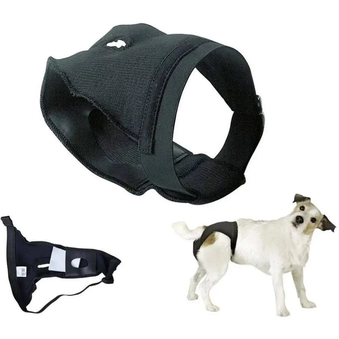 Honden slips Zaldi