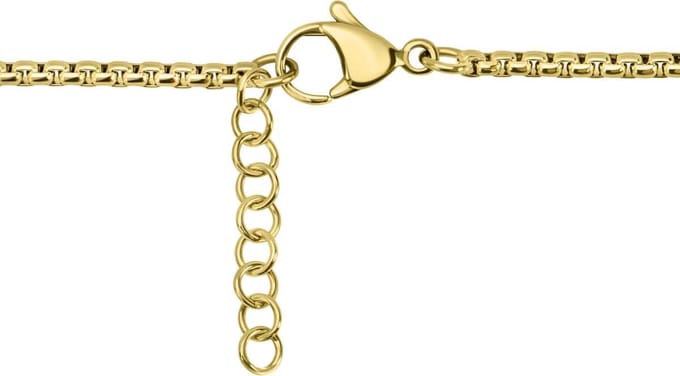 Quiges Anker Ketting RVS 42cm + 4cm Verlengstuk - Goudkleurig - EPK106