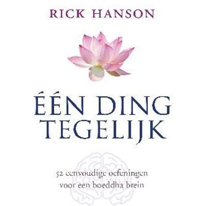 Een Ding Tegelijk - Rick Hanson