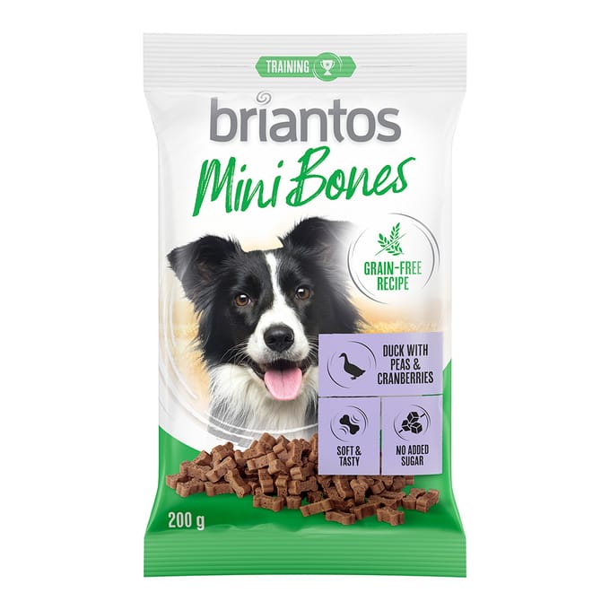 2x200g Briantos Mini Bones Zalm, Wortels & Tijm Hondensnacks