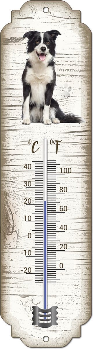 Thermometer: Bordercollie | Hondenras | Temperatuur binnen en buiten | -25 tot +45C