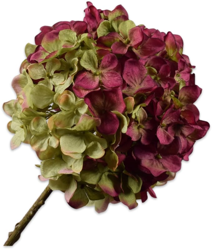 Hortensia tak burgury/groen 70 cm