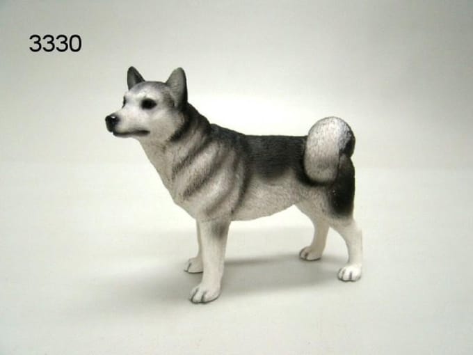 Beeld hond Husky