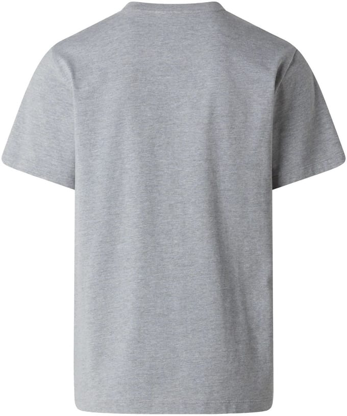 THE NORTH FACE - m evolution simple dome ss tee - Sport t-shirt korte mouw heren - Grijs