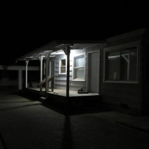 Birds Tricked Into the Trees/From Devils to Davis (RSD 2020)