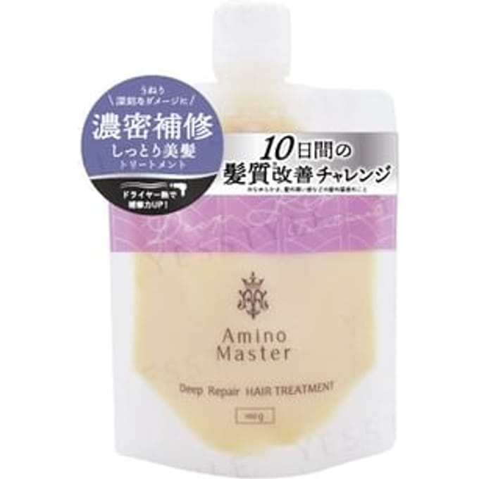 Amino Master - Deep Repair Hair Treatment 100g
