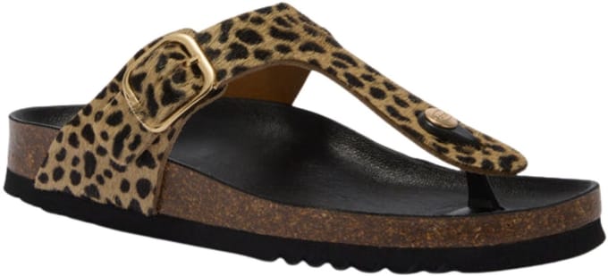 Scholl - Bruin Scholl Anais Slippers Bruin F00629