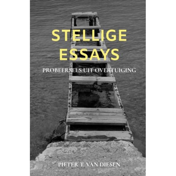 Stellige Essays - Pieter T. Van Diesen