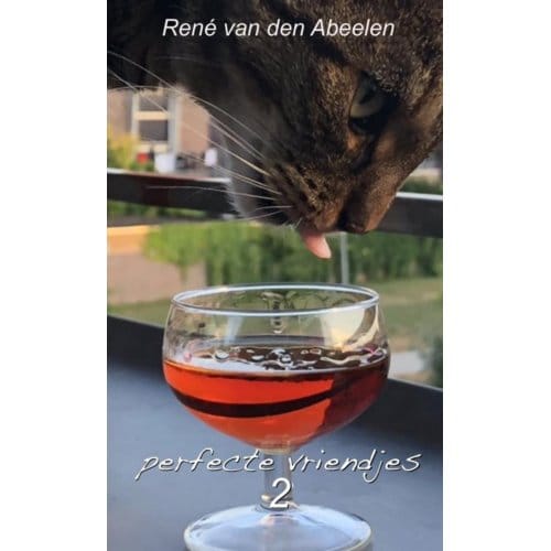 Perfecte Vriendjes 2 - René Van den Abeelen
