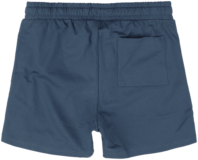 Lonsdale Ardcharnich Korte Broek Blauw 2XL Man