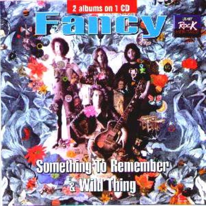 Something To Remember/Wil