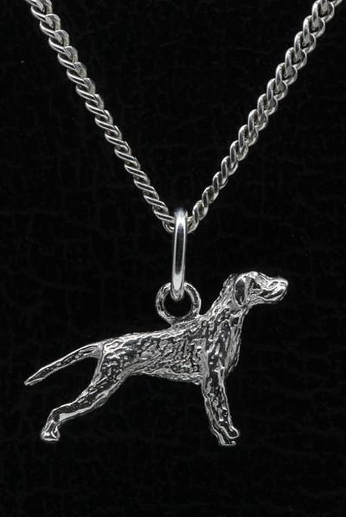 Zilveren Spinone met staart ketting hanger - klein