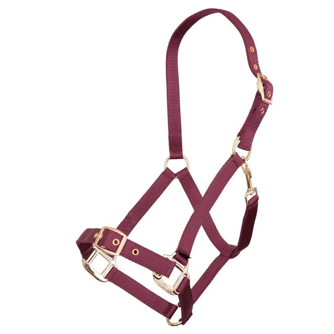 Polypropyleen halster Premiere Equitation
