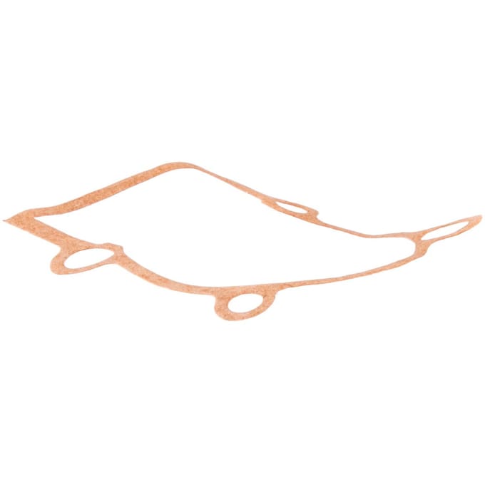 Crank case gasket