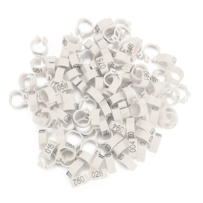 100 STUKS/Zak 8MM 001-100 Genummerde Plastic Letter Duif Vogel Pootringen(wit) White
