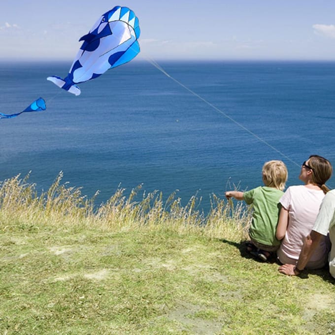 3D-vlieger Enorme frameloze zachte parafoil gigantische walvisvlieger Blue & White gray