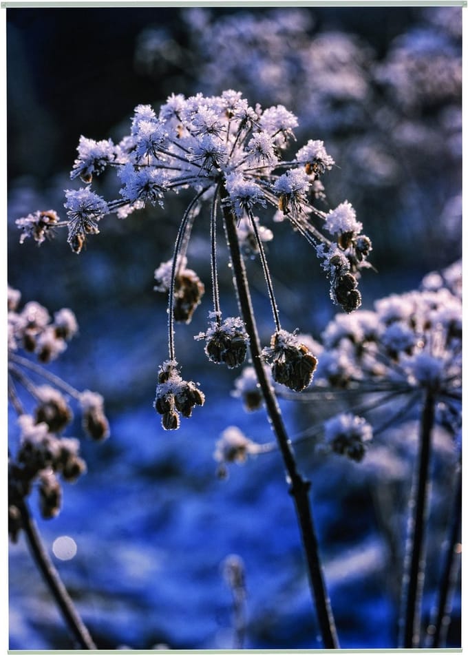 Snow Outdoor TextielPoster fotoprint 95x130cm
