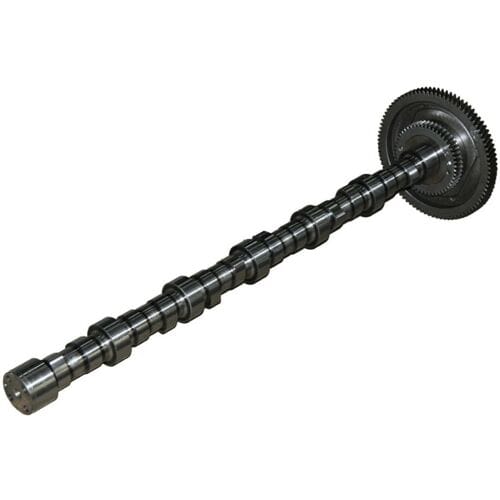 Nokkenas  BF 20100228760