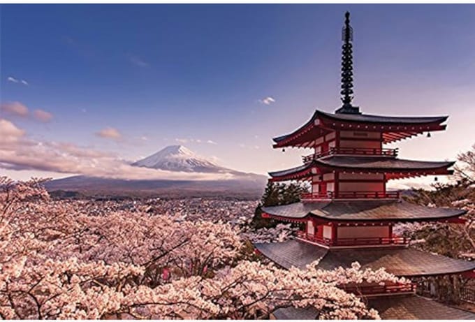 Mount Fuji Blossom - Maxi Poster 61 x 91,5cm