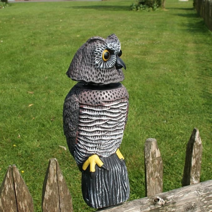 Roterende uil gele borst - vogelverschrikker