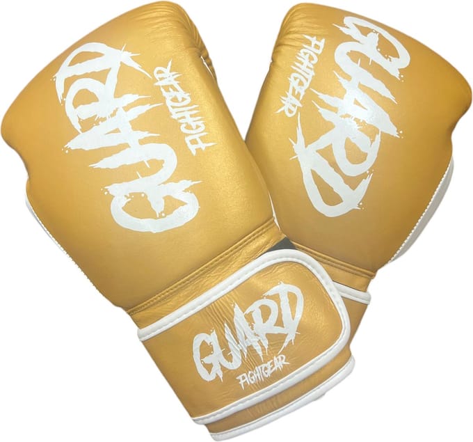 Aurora Fury (14oz) Bokshandschoenen