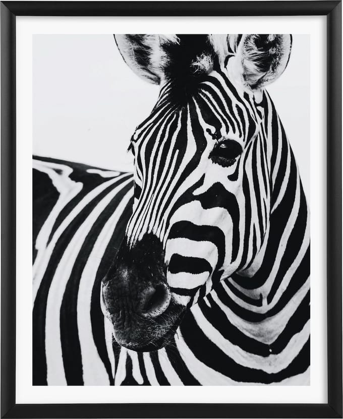 Goldbuch - Fotolijst Alluminio - Zwart - 20x25 cm