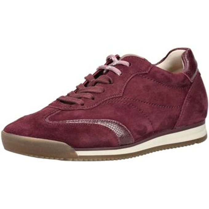 Lage Sneakers Gabor Sneaker