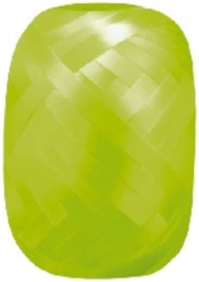 Wefiesta - Cadeaulint - 20 M x 5 MM - Lichtgroen