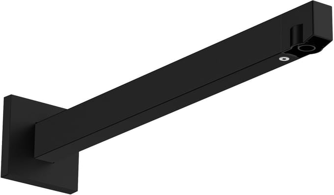 Hansgrohe Raindance alive Douchearm - 39cm - mat zwart