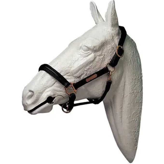 Leren halster voor paard Lexhis