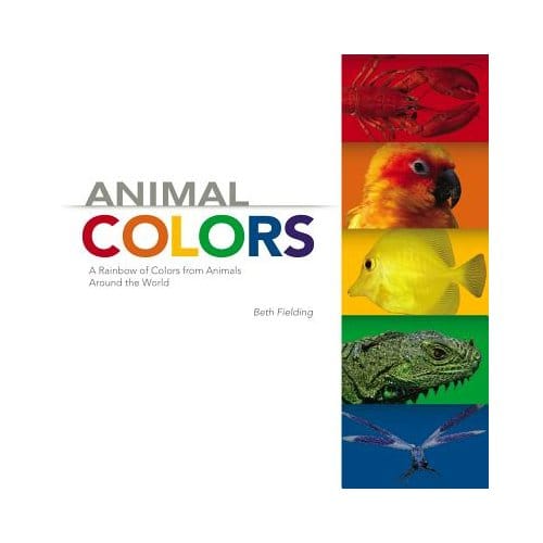 Animal Colors - BETH FIELDING