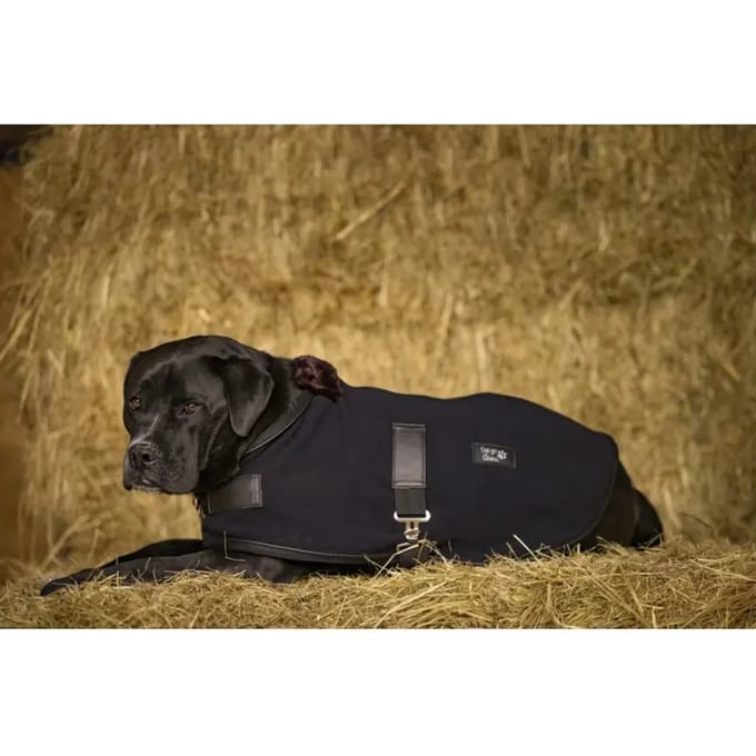 Fleece hondendeken Diego & Louna Teddy