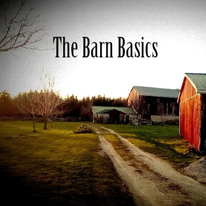 Ad Vanderveen - The Barn Basics (CD)